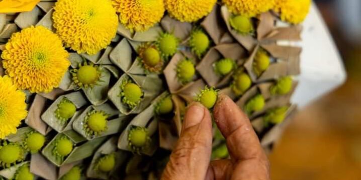 Flower Workshop for women empowering